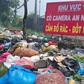 Đổ rác ở những nơi có biển cấm