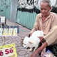 Vòng xoáy vé số 'mua đứt bán đoạn': Người thợ hồ 'gãy cánh' và chú chó nhỏ