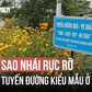 Hoa sao nhái rực rỡ trên tuyến đường kiểu mẫu ở TP.HCM