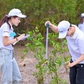 Lan tỏa tinh thần 'sống khỏe góp xanh' đến thế hệ trẻ