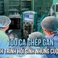 100 ca ghép gan, hành trình hồi sinh những cuộc đời