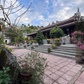 Ngôi chùa hơn 3 thế kỷ ở Huế lưu giữ bộ kinh gần 300 năm còn nguyên vẹn