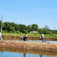 Cồn Chim, ốc đảo xinh đẹp vùng sông nước phương Nam