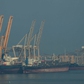 UAE bất ngờ thông báo rời khỏi Tổ chức Các nước xuất khẩu dầu mỏ