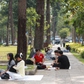 Công viên TP.HCM cao điểm nắng nóng: Người dân đi picnic, trải bạt dưới bóng cây 'giải nhiệt'