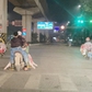 Thịt bẩn tung hoành qua lỗ hổng kiểm dịch