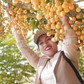 Rực rỡ mùa dâu ở núi Cấm
