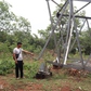 Đồng Nai: Trụ điện 110 kV không có đai ốc ngã đổ gây bất an