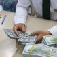 Giá USD hôm nay 12.5.2026: Thế giới và nước đồng loạt tăng