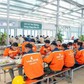 Vingroup tuyển 20.000 nhân sự tại Hà Nội, cam kết thu nhập vượt trội