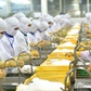 Xuất khẩu tôm vào Mỹ lại gặp khó