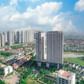 Thêm một 'ông lớn' lấn sân lĩnh vực chăn nuôi