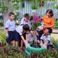 Học sinh trồng cây, dâng hoa sen mừng ngày sinh Chủ tịch Hồ Chí Minh