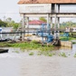 Cà Mau chốt diện tích tối đa xây công trình trên đất nông nghiệp từ ngày 1.6.2026