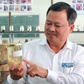 'Hồi sinh' những loài nấm quý hiếm