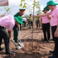 Công ty Chăn nuôi C.P. tiếp tục phủ mảng xanh tại Việt Nam