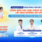 Nắng nóng và ngộ độc thực phẩm, các loại virus viêm gan lây qua đường ăn uống