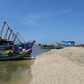 Cận cảnh dùng cả ngàn khối vỏ sò, ốc san lấp trái phép bờ sông Cửa Lấp