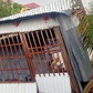 Giông lốc quật mạnh làm hư hại 37 căn nhà ở Đồng Tháp