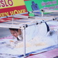 Nàng hậu Việt bất chấp hình tượng trong show thực tế