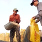 Khách mua gạo lớn nhất của Việt Nam lo thiệt hại nặng vì El Nino mạnh