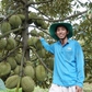 Sầu riêng Việt mở thêm những cánh cửa mới