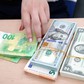 Giá USD hôm nay 10.6.2026: Giữ đà tăng trong khi euro và yen Nhật liên tục giảm