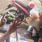 Chó biết làm toán hút triệu view: Khách tìm đến tận nơi để kiểm chứng