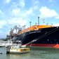 120.000 tấn khí LNG và LPG từ Canada và Mỹ cập cảng Việt Nam