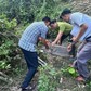Đi làm đồng, giật mình phát hiện động vật quý hiếm nên báo công an