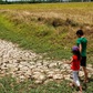 Ứng phó 'siêu El Nino' thế nào?