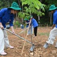 Cấp bách chống sa mạc hóa