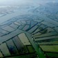 Hồi sinh 'lá phổi xanh' giữa đầm Thị Nại