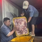 Phát hiện xe chở 250 kg thịt heo không rõ nguồn gốc giữa đêm ở TP.HCM