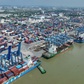 Vì sao cước tàu biển vẫn chưa giảm?