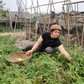 Cô giáo của những mầm xanh nơi đầu sóng