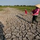 Chủ động ứng phó El Nino đang gia tăng cường độ