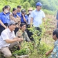 Từ 'đại hội không hoa' đến trồng 1 triệu cây cà phê cho đồng bào Xơ Đăng