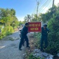 Sạt lở nghiêm trọng ở Đồng Tháp, đường nông thôn bị chia cắt