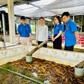 Chàng trai miền Tây nuôi lươn thu lãi cao nhờ 'bí quyết' này