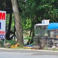 TP.HCM dẹp nạn mua bán chim, cá phóng sinh trái phép: Chợ vùng ven vẫn tấp nập