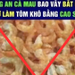 Hậu quả khó lường từ tin giả về tôm khô Cà Mau
