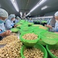 Tin tức đặc biệt trên báo in Thanh Niên 5.6.2026