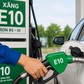 Bộ chưa công bố, thương nhân đầu mối báo E10 bao nhiêu?