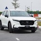 Xe hybrid có 'kén' xăng E10?