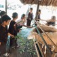 Những nông trại giữa lòng TP.HCM khiến người trẻ say đắm