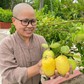 Người gieo mầm thiện nguyện nơi cửa thiền
