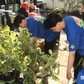 Sinh viên tình nguyện chuyển giao phần mềm hỗ trợ đắc lực cho địa phương