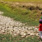 'Siêu El Nino' sắp xuất hiện, ứng phó thế nào?