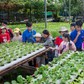 Hành trình 'An Phú Đông trong trái tim tôi'